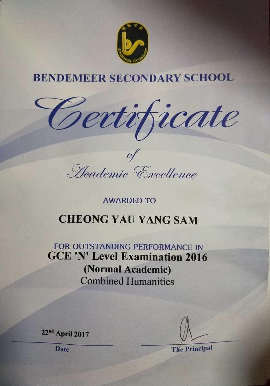 Certificate for acheiveing top scorer in N levels for combine humanities