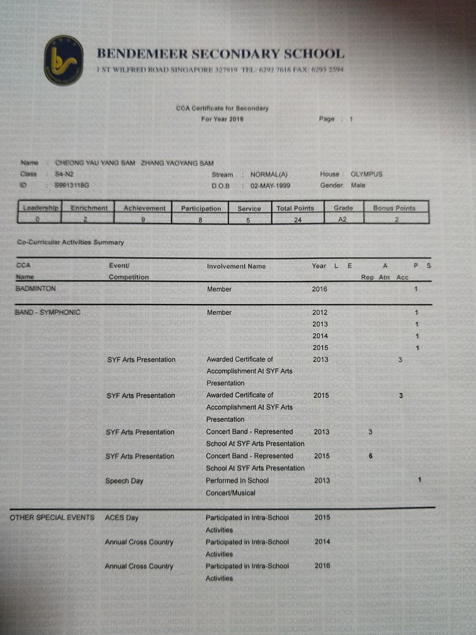 Community service I did in secondary school as well as my contribution to My CCA, Concert Band for the Singapore Youth Festival.